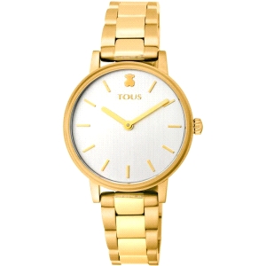 TOUS ROND COLOR IPG ESF.SILVER BRAZ.                                  